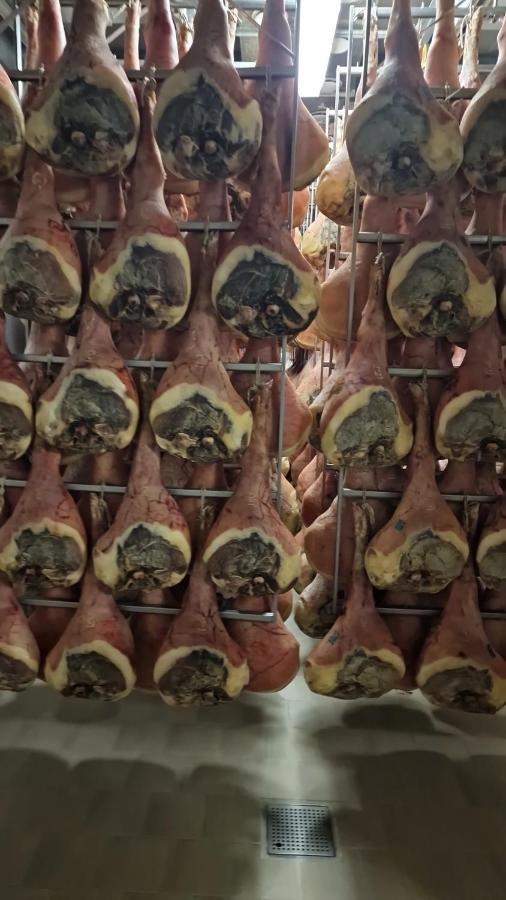弗留利地区圣达尼埃莱 艾萨珀里饭店酒店 外观 照片