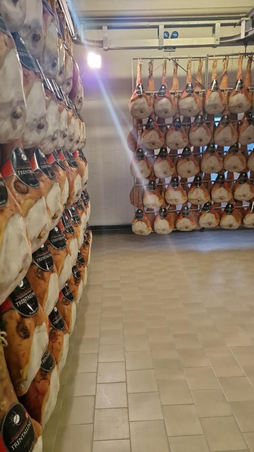 弗留利地区圣达尼埃莱 艾萨珀里饭店酒店 外观 照片